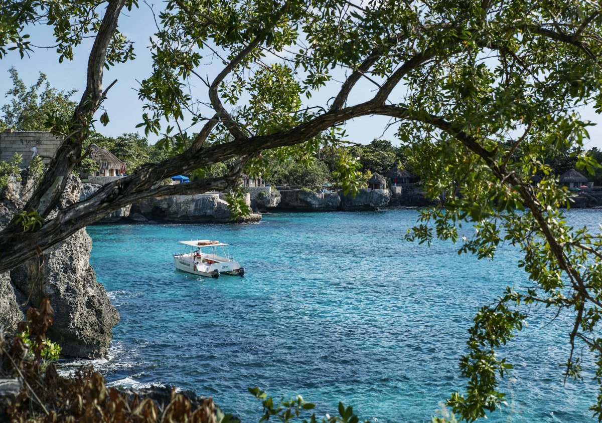 small white boat on blue water tree with green leaves