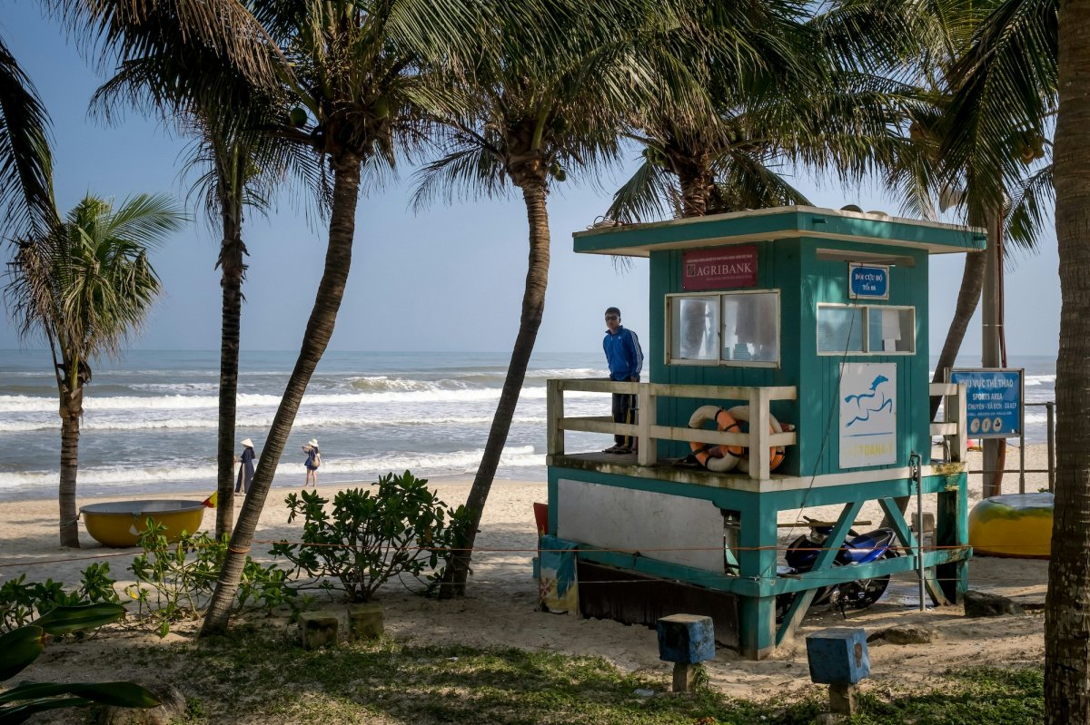 green beach tower palm trees