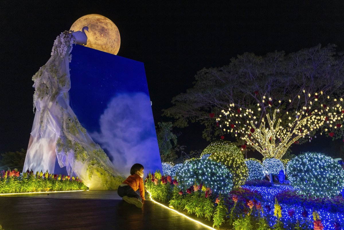 colorful lights blue box black sky