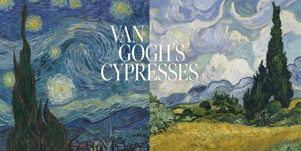 Photo of two of Van Gogh's depictions of cypress trees.