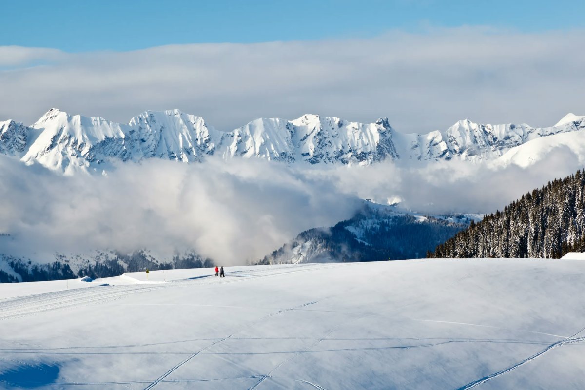 mountain top covered with snow