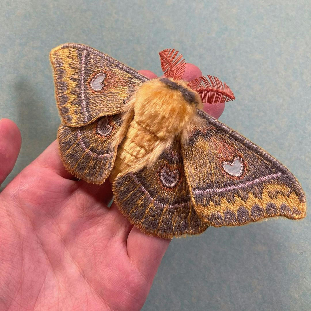 animal butterfly insect invertebrate moth