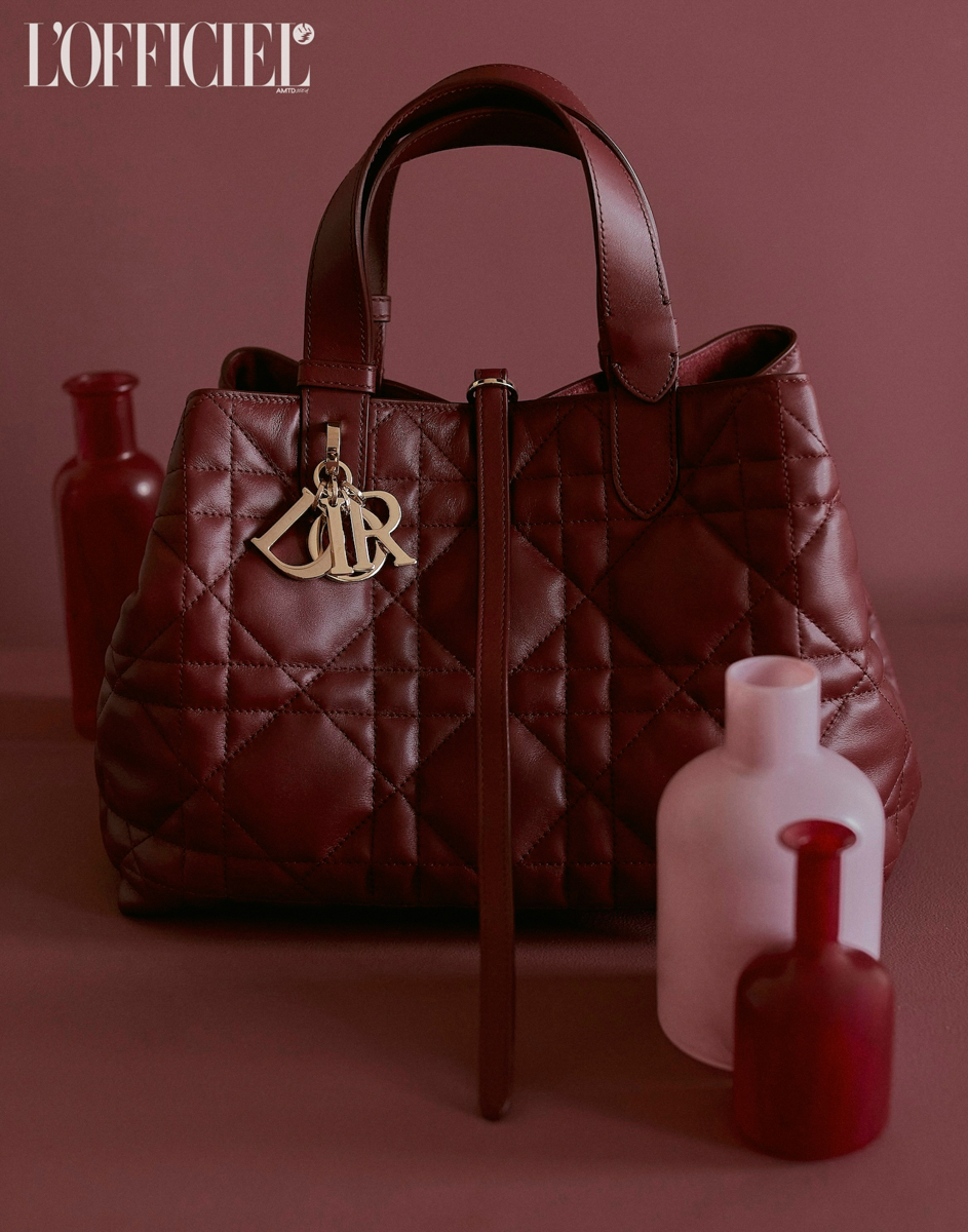 accessories bag handbag purse